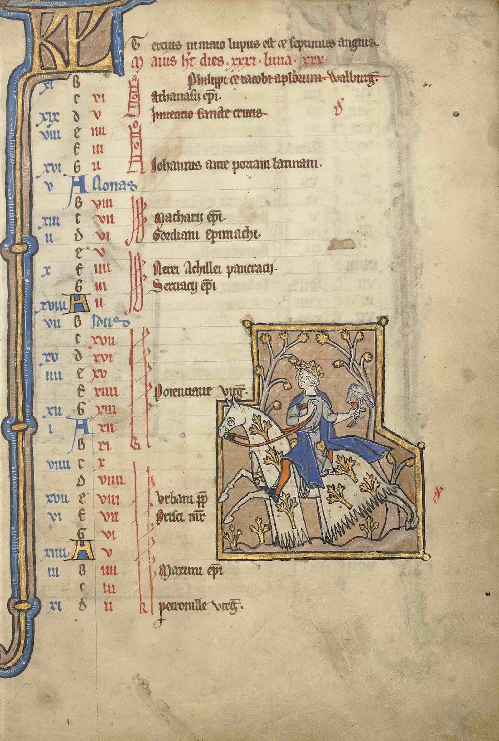 Unknown Flemish May Calendar Page, mid-1200s from Psalter. Tempera colors, gold leaf, and ink on parchment.